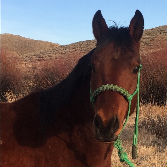 Meet your Posher, Sarah - Picture 1 of 1